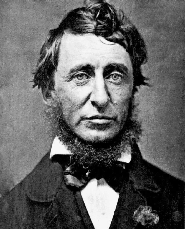 A Harsh Winter in Chicago Provokes Thoughts on the Economy; Warm Up With Thoreau